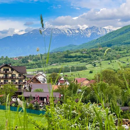 Vila Hora Cu Brazi Zărneşti Exterior foto
