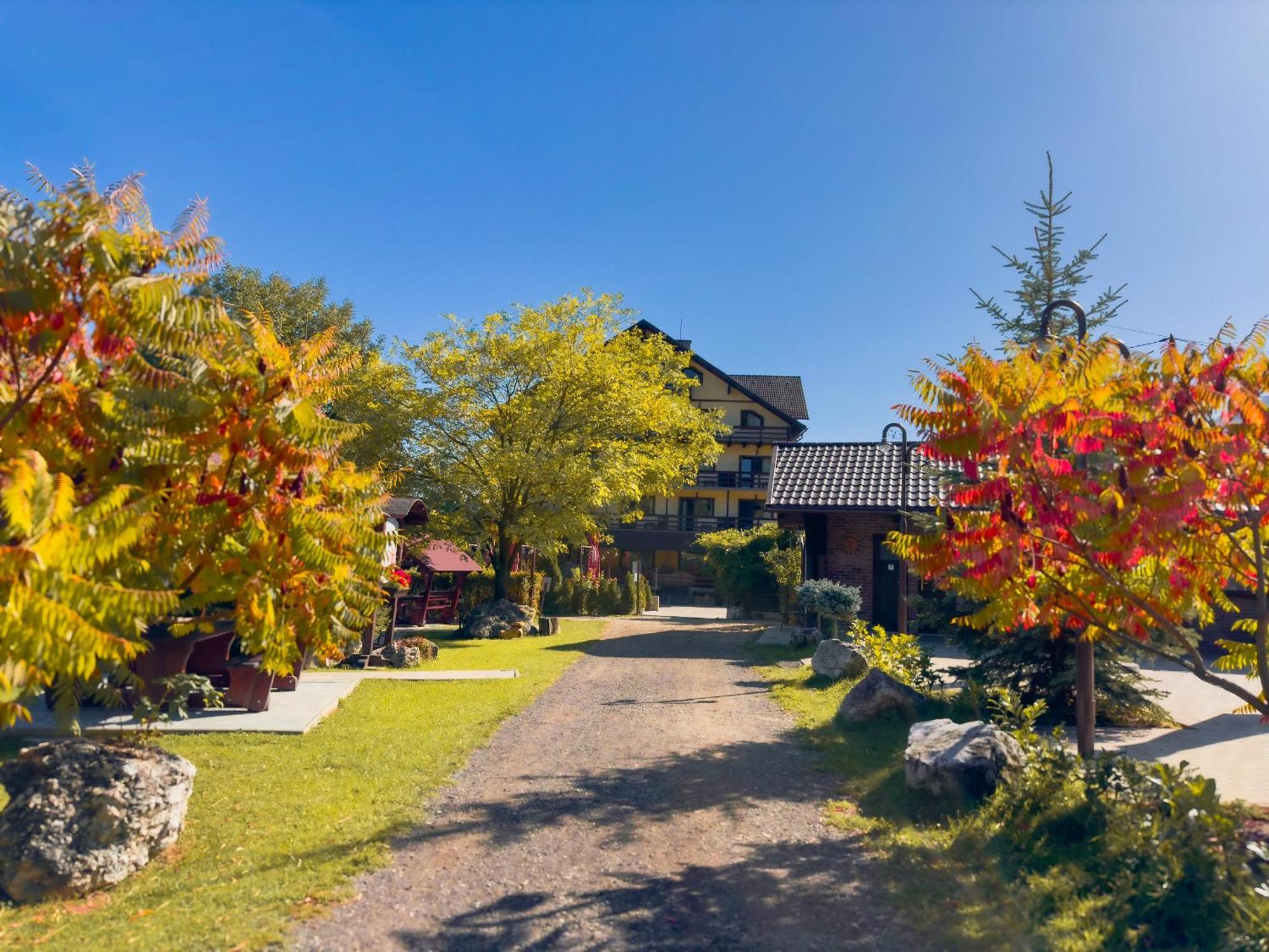 Vila Hora Cu Brazi Zărneşti Exterior foto